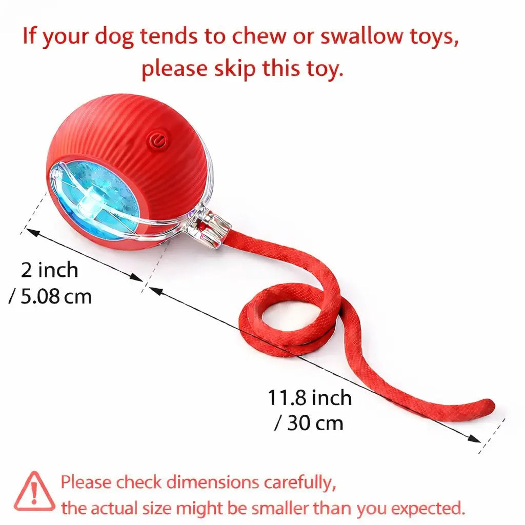 Interactive Rechargeable Pet Toy Ball